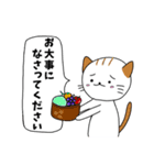 毎日使える敬語スタンプ ねこ（個別スタンプ：21）