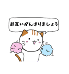 毎日使える敬語スタンプ ねこ（個別スタンプ：22）