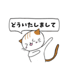 毎日使える敬語スタンプ ねこ（個別スタンプ：24）