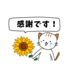 毎日使える敬語スタンプ ねこ（個別スタンプ：30）