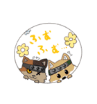 CryptoNinjaの日常スタンプ（個別スタンプ：17）