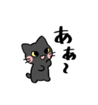 しもくねこ（個別スタンプ：5）