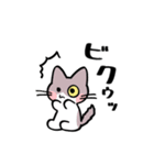 しもくねこ（個別スタンプ：6）