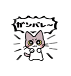 しもくねこ（個別スタンプ：13）