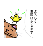 むちむち猫とヒヨコ（個別スタンプ：1）