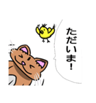むちむち猫とヒヨコ（個別スタンプ：5）