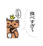 むちむち猫とヒヨコ（個別スタンプ：13）