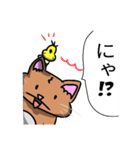 むちむち猫とヒヨコ（個別スタンプ：20）