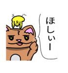むちむち猫とヒヨコ（個別スタンプ：21）