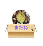 土倉の森スタンプ1（個別スタンプ：8）