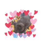 猫のかいくん日常（個別スタンプ：6）