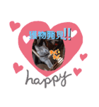 猫のかいくん日常（個別スタンプ：10）
