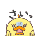 ひよこのひなこ 秋田弁ver.（個別スタンプ：20）