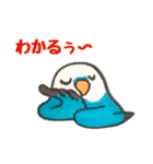 セキセイインコのラピスくん（個別スタンプ：25）