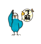 セキセイインコのラピスくん（個別スタンプ：27）