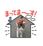 交通誘導警備オリジナル（個別スタンプ：17）