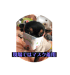 交通誘導警備オリジナル（個別スタンプ：23）