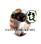 交通誘導警備オリジナル（個別スタンプ：29）