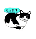 保護猫あんちゃん第二弾（個別スタンプ：5）