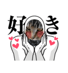 のら猫なの（個別スタンプ：3）