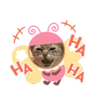 アビシニアンのプティちゃんスタンプ❤（個別スタンプ：17）