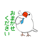 はたらく文鳥（個別スタンプ：6）