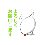 はたらく文鳥（個別スタンプ：7）