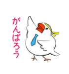 はたらく文鳥（個別スタンプ：11）