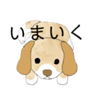 かわいい犬の使いやすいスタンプ（個別スタンプ：1）