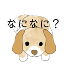 かわいい犬の使いやすいスタンプ（個別スタンプ：12）