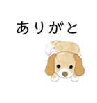 かわいい犬の使いやすいスタンプ（個別スタンプ：16）