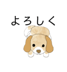 かわいい犬の使いやすいスタンプ（個別スタンプ：26）