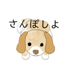 かわいい犬の使いやすいスタンプ（個別スタンプ：29）