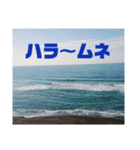 海大好き♡サーフィン大好き♡（個別スタンプ：17）