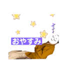 日常垢 3（個別スタンプ：11）