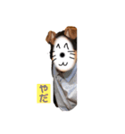 日常垢 3（個別スタンプ：23）