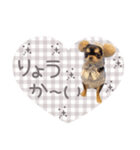 coa君スタンプ（個別スタンプ：8）