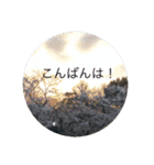 kinko 春バージョン2（個別スタンプ：7）