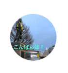 kinko 春バージョン2（個別スタンプ：8）