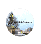 kinko 春バージョン2（個別スタンプ：21）
