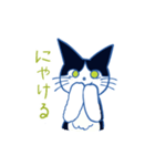 優しい猫、ちび。（個別スタンプ：5）