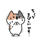 ねこ達な毎日・ゆるい敬語（個別スタンプ：14）