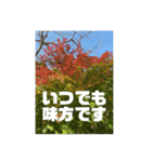 心模様 空模様（個別スタンプ：14）