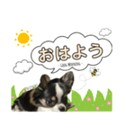 ぷーちゃんスタンプU´•ﻌ•`U（個別スタンプ：4）