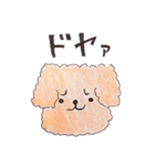 ヤンチャなわんことポンコツねこさん。（個別スタンプ：19）