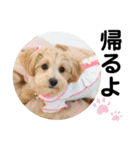 ベルちゃんスタンプ2022.04.（個別スタンプ：7）