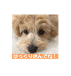 ベルちゃんスタンプ2022.04.（個別スタンプ：9）
