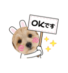 ベルちゃんスタンプ2022.04.（個別スタンプ：14）