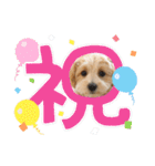 ベルちゃんスタンプ2022.04.（個別スタンプ：15）
