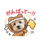 ベルちゃんスタンプ2022.04.（個別スタンプ：35）